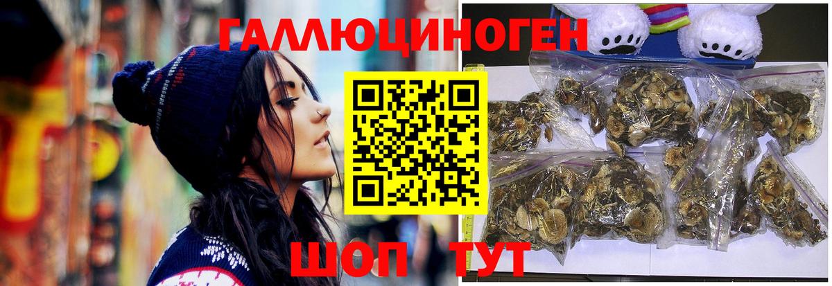 Псилоцибиновые грибы прущие грибы  Галлюциногенные грибы Psilocybine cubensis  Богородицк  Вход с VPN 