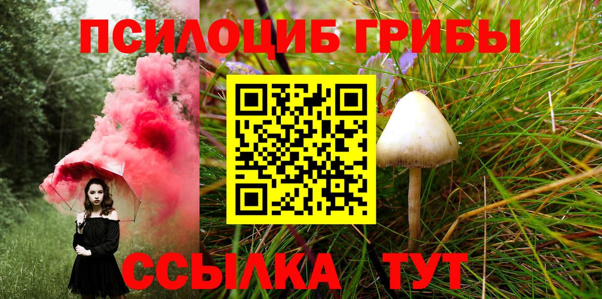 Галлюциногенные грибы GOLDEN TEACHER Богородицк